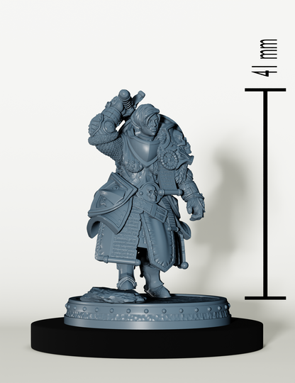 Set Paladins des Cendres Maudites