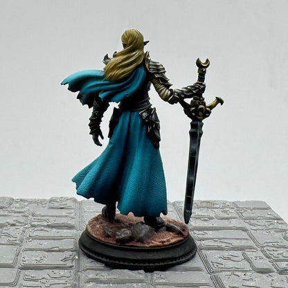 Elfe drow - paladine du sanctuaire lunaire