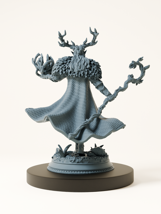 Elfe Magicien de la Cour Fey
