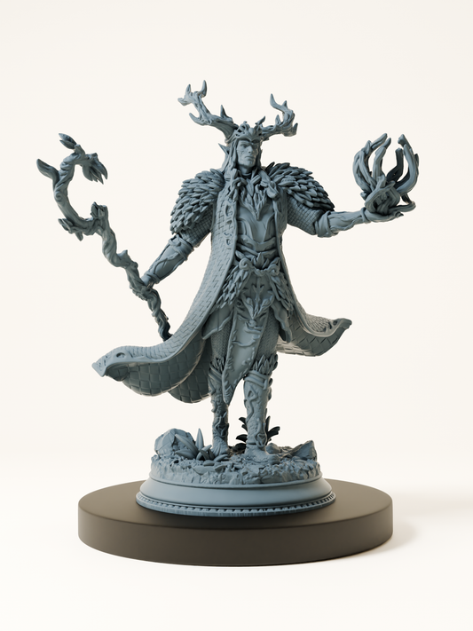 Elfe Magicien de la Cour Fey