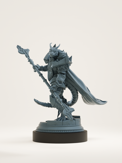 Paladin draconique