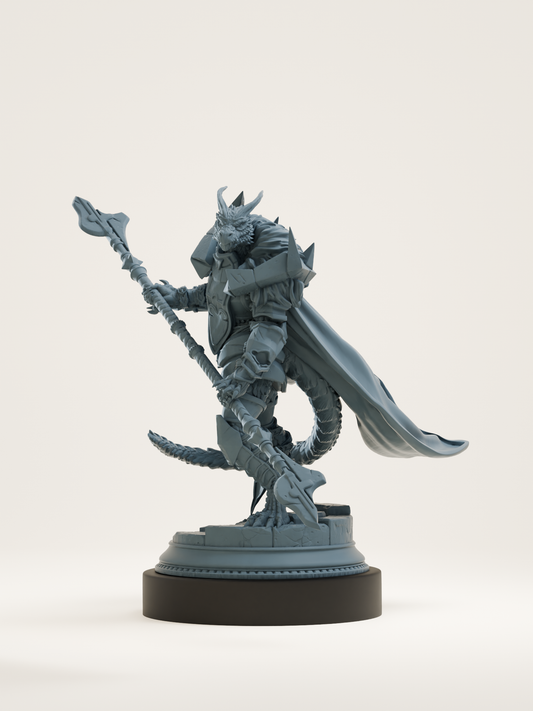 Paladin draconique