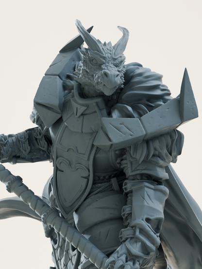 Paladin draconique