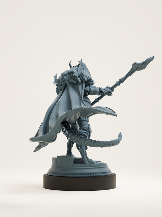 Paladin draconique