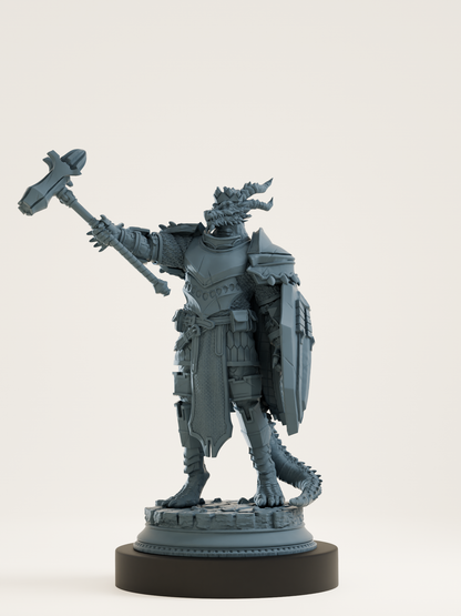 Set chevaliers drakéides