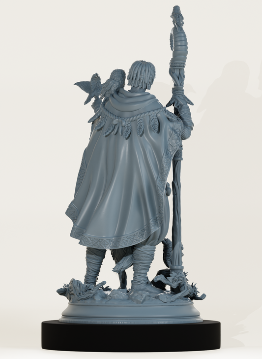 Humain druide et familiers