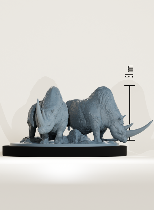 Set Orcs sur rhinocéros