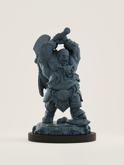 Set Ogres barbares du clan brisé