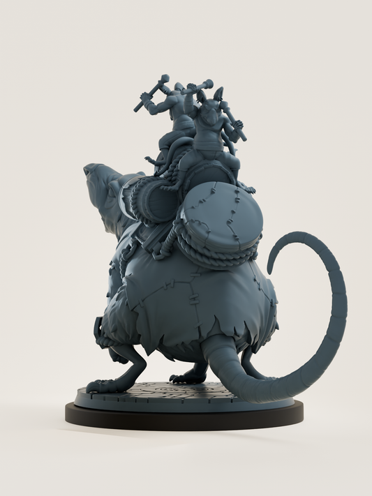 Rat de guerre tambourinant
