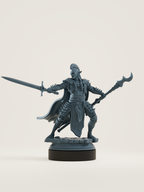 Elfe drow champion