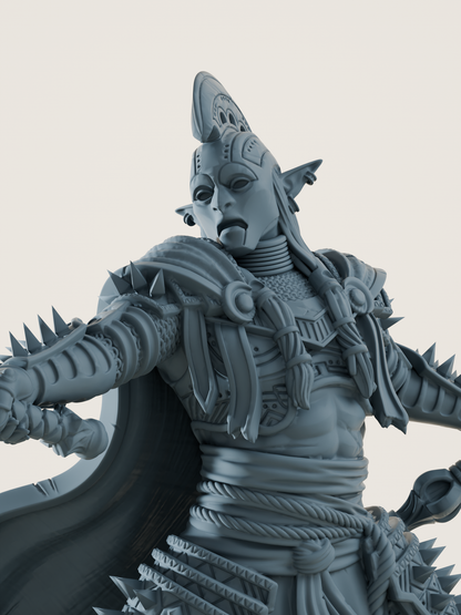 elfe drow champion