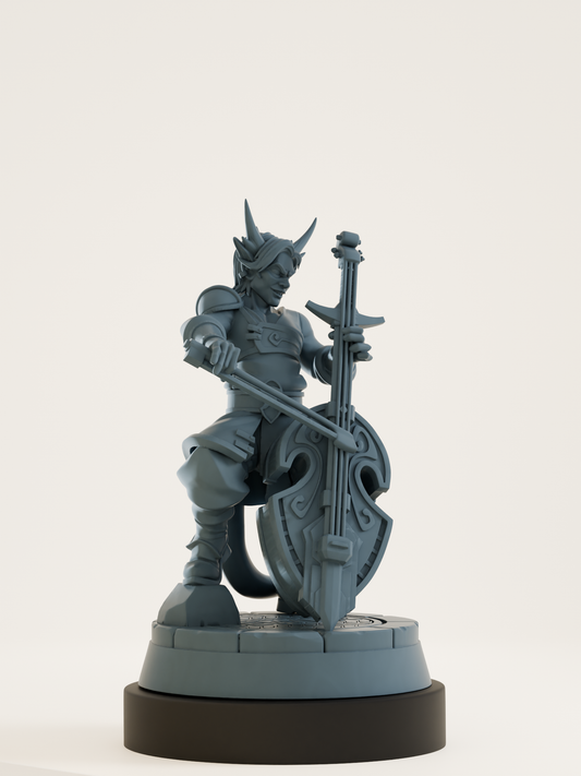 Set bardes avec violoncelle