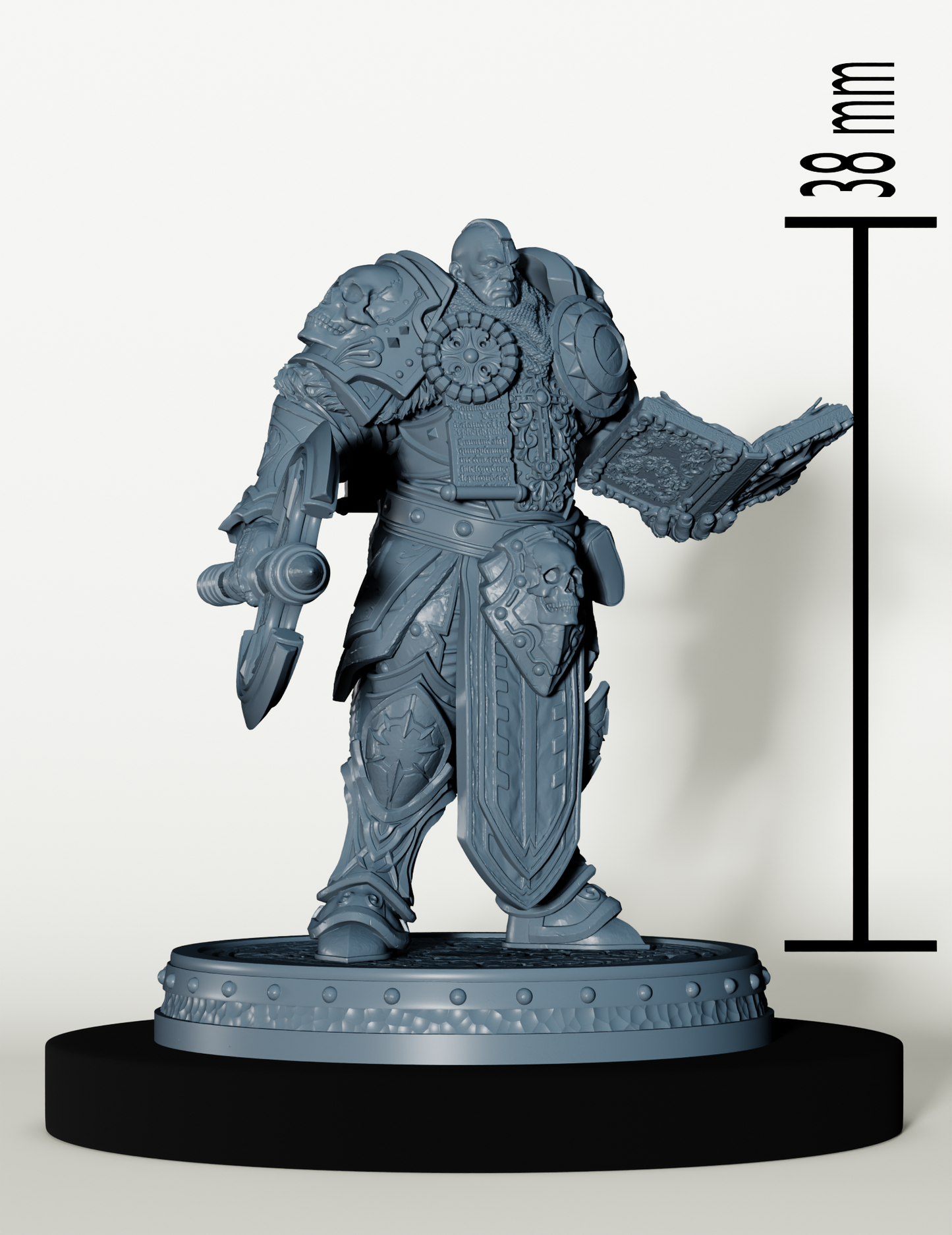 Set Paladins des Cendres Maudites