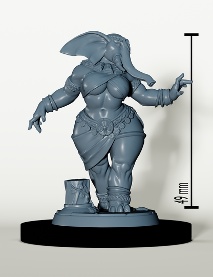 Set Sentinelles d'ivoire - Héros Éléphant folk