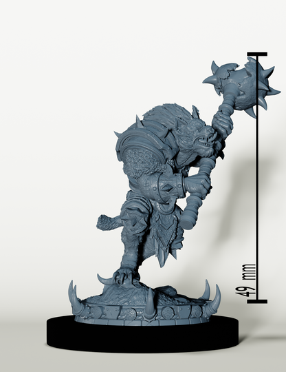 Set Guerriers Gnolls de la Pourriture