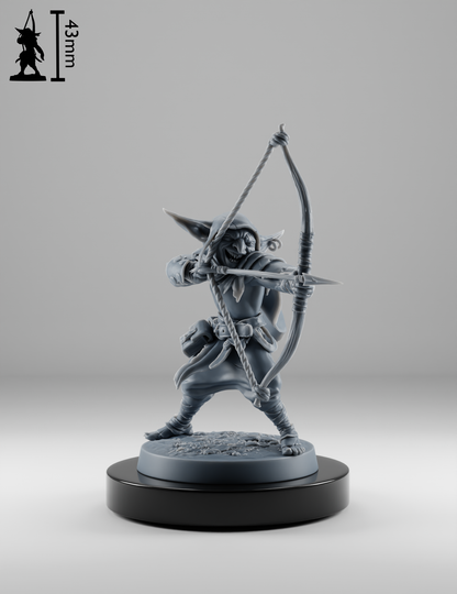 Set Guerriers Gobelins