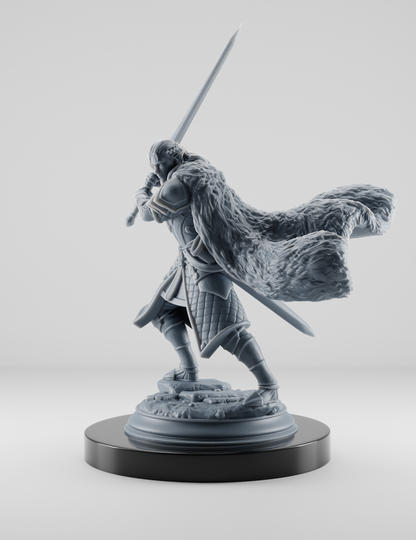 Elfe Guerrier avec Épée Longue