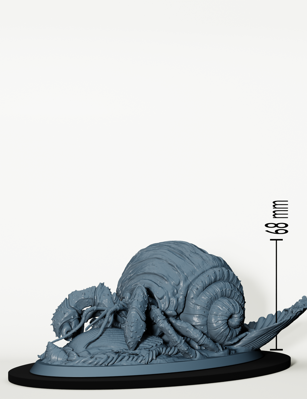 Crabe Ermite Géant et souris