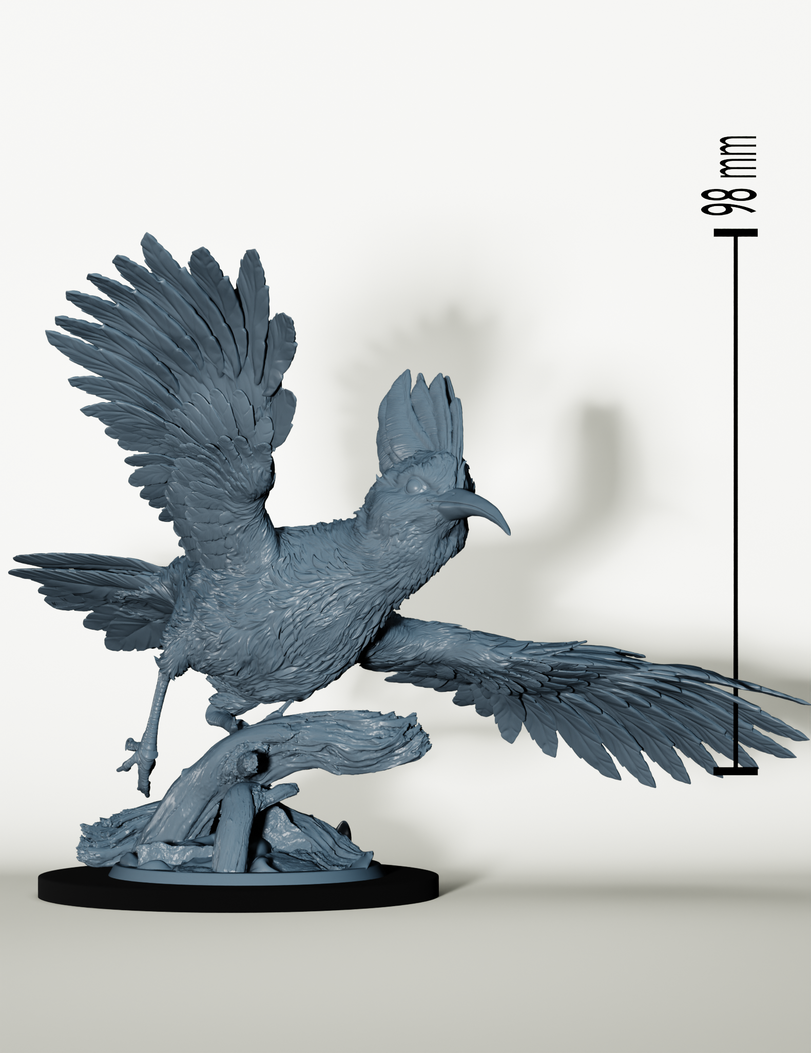 Huppe Géante et Cavalier Rongeur