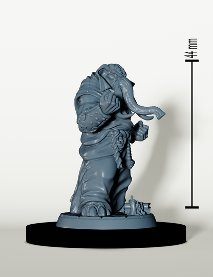 Set Sentinelles d'ivoire - Prêtres Éléphant folk