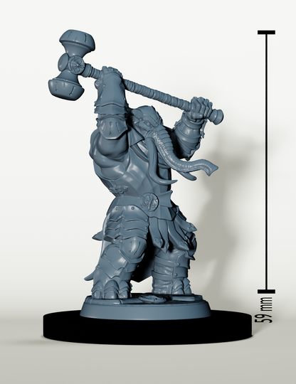 Set Sentinelles d'ivoire - Guerriers Éléphant folk