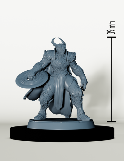 Chevaliers de Bahamut