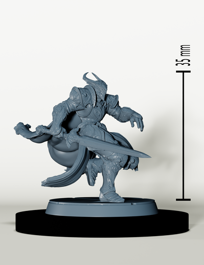 Chevaliers de Bahamut