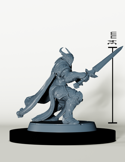 Chevaliers de Bahamut
