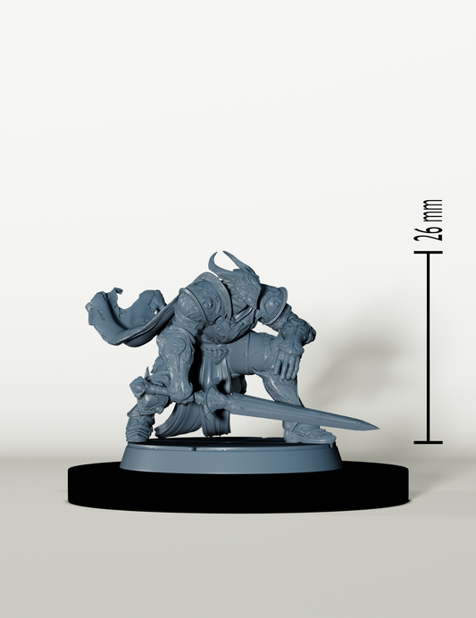 Chevaliers de Bahamut