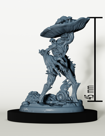 Royaume Féerique - Set d'Aventuriers Fae