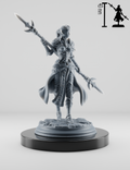 Elfe Paladin Femme Épée Double