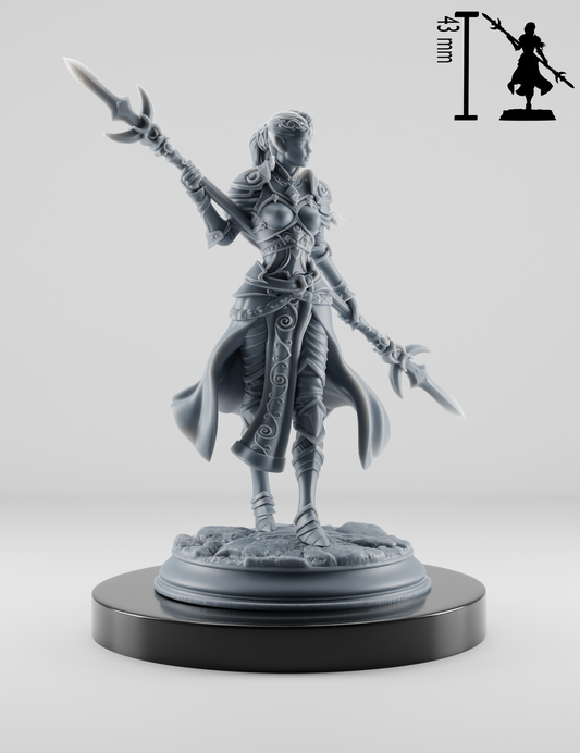 Elfe Paladin Femme Épée Double