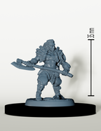 Set Guerriers Nordiques