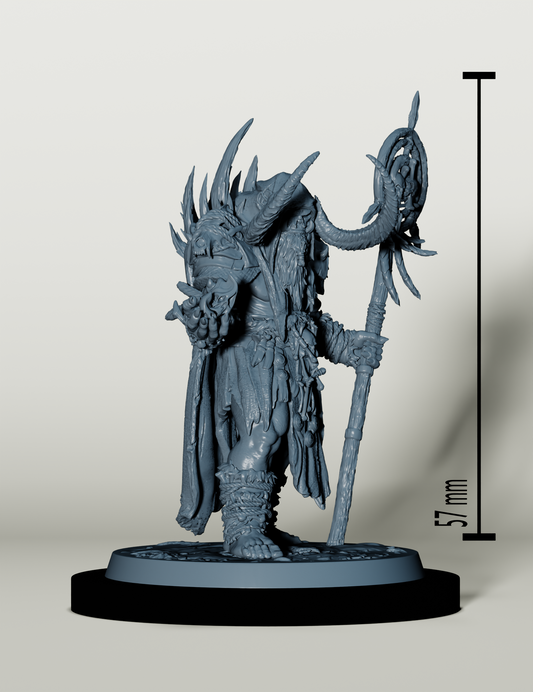 Chaman du Clan Indomptable - Monstre D&D 5e