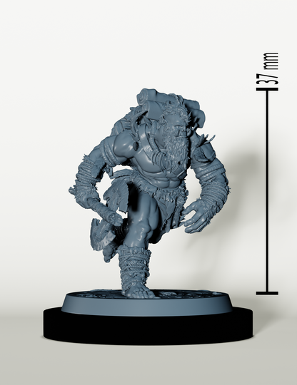 Set Guerriers Orcs Sauvage