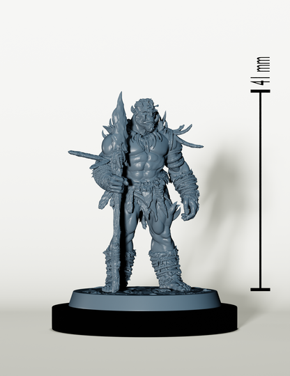 Set Guerriers Orcs Sauvage