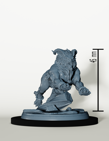 Léonin - Set Cavaliers Sphinx