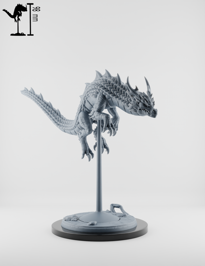 Set Dragons Spirituels : Gardiens du Temple