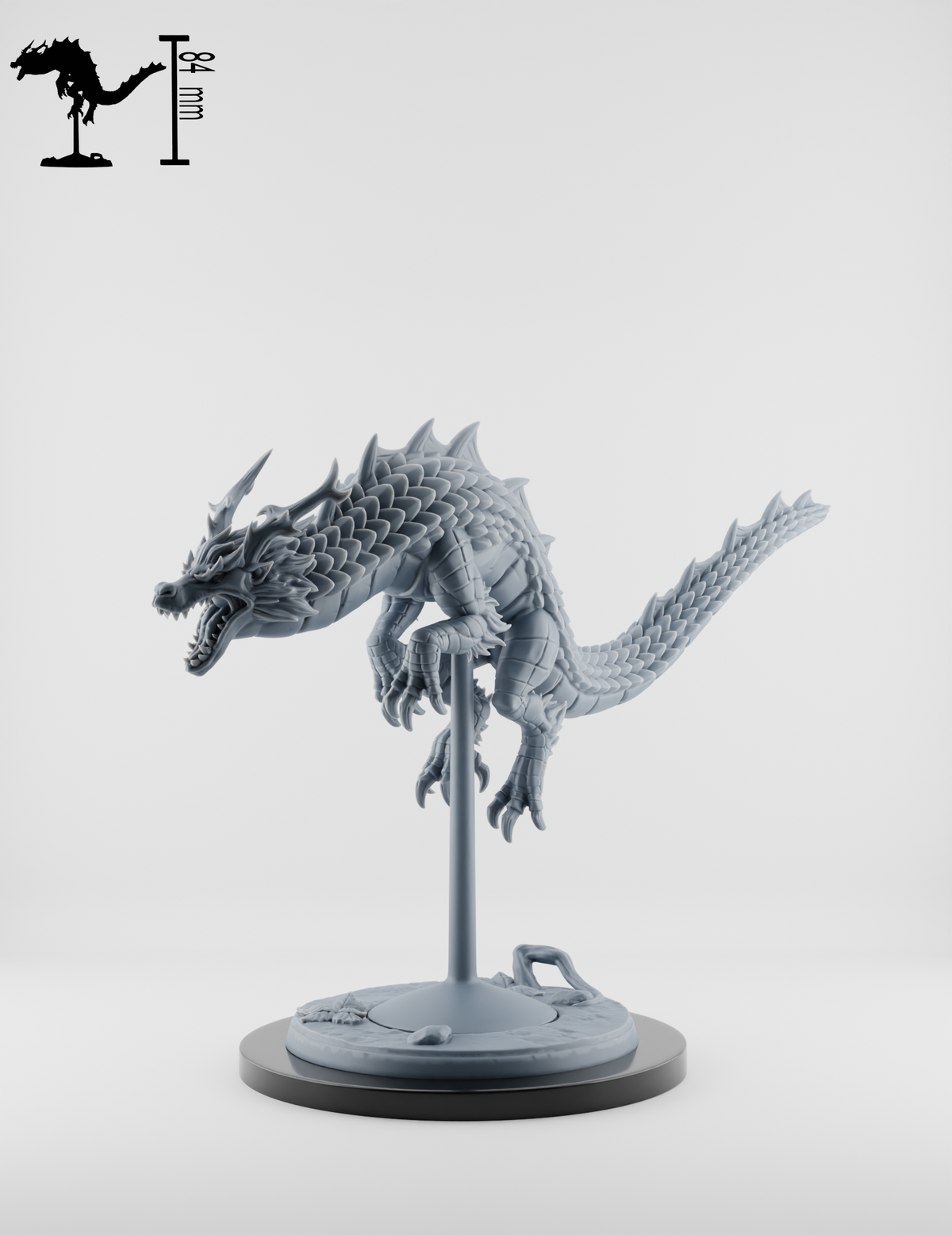 Set Dragons Spirituels : Gardiens du Temple