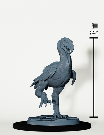 Set cavaliers trolls et oiseaux de terreur