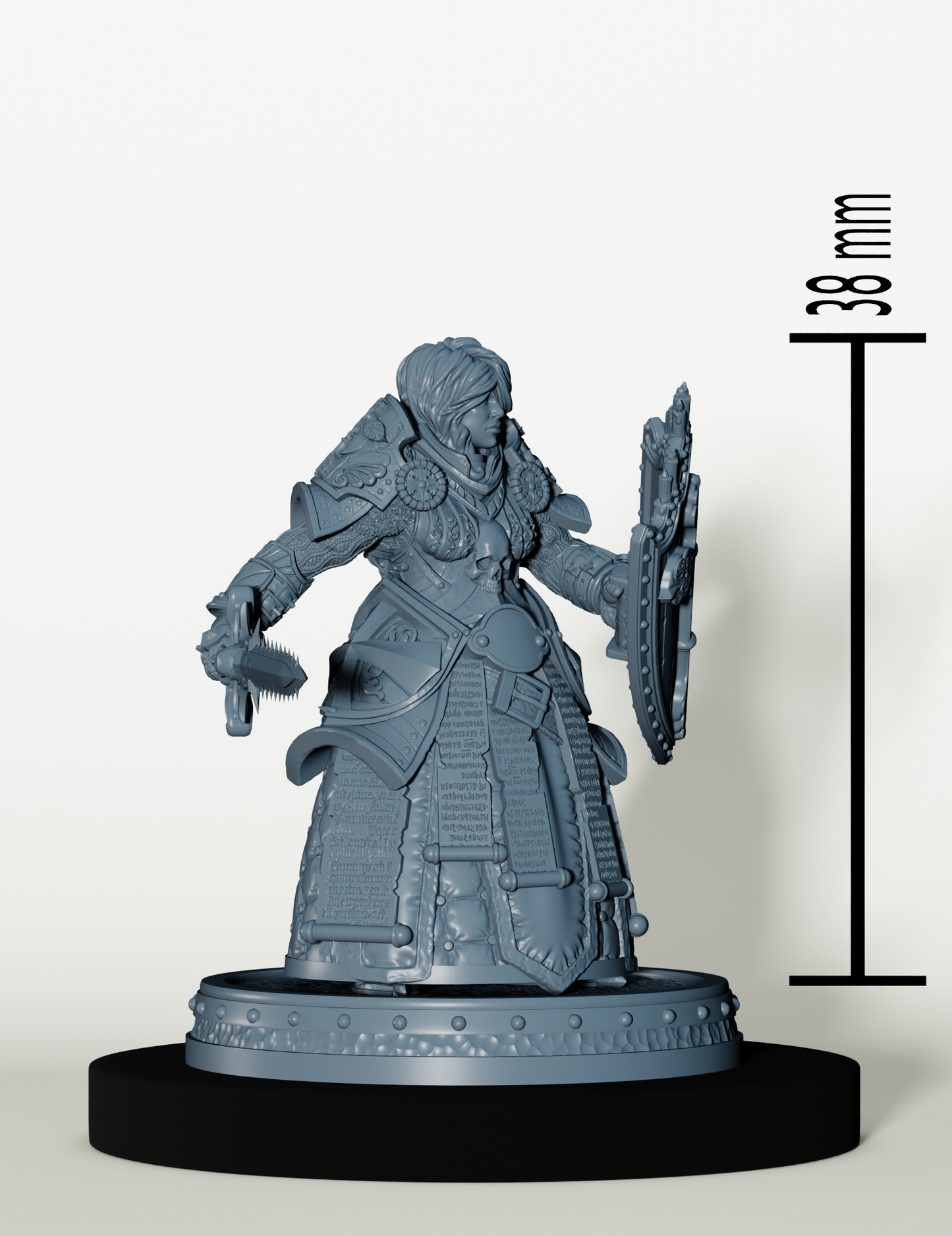 Set Paladins des Cendres Maudites