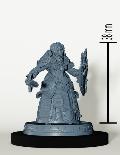 Set Paladins des Cendres Maudites