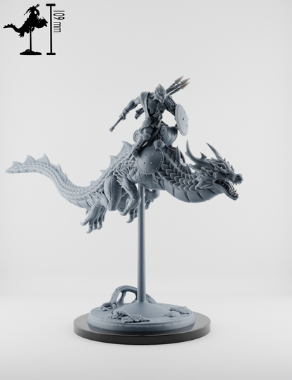 Set Chevaucheurs de Dragons - Moines Singes