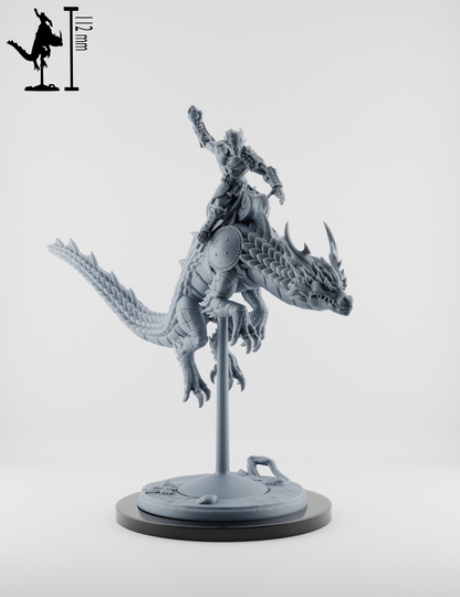 Set Chevaucheurs de Dragons - Moines Singes