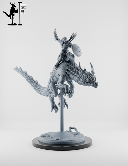Set Chevaucheurs de Dragons - Moines Singes