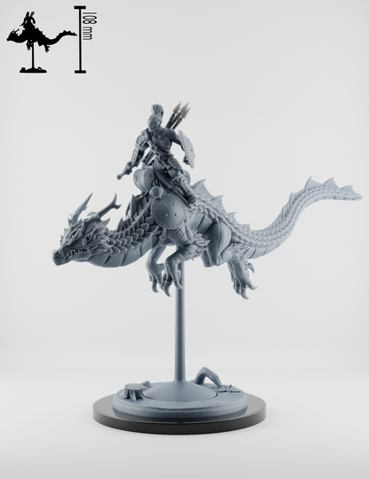 Set Chevaucheurs de Dragons - Moines Singes