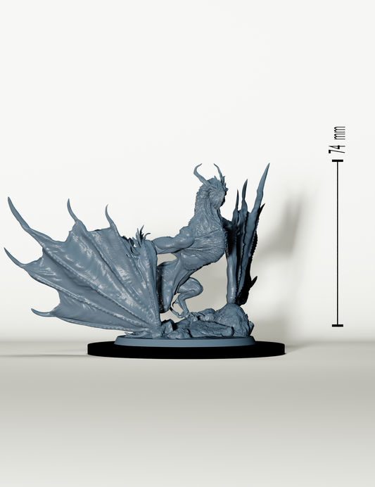 Chevaliers sur wyvernes