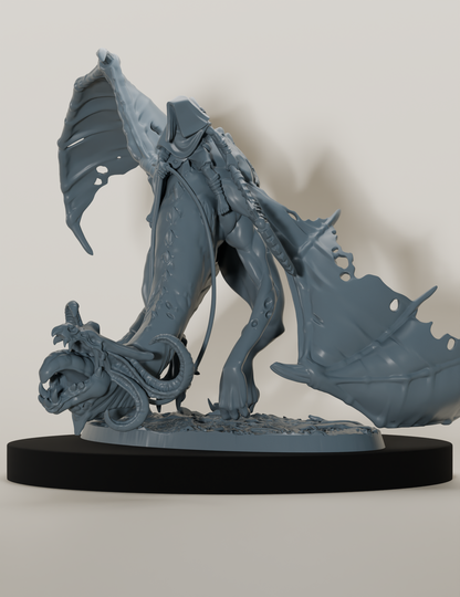 Zombie dragon et nécromancien