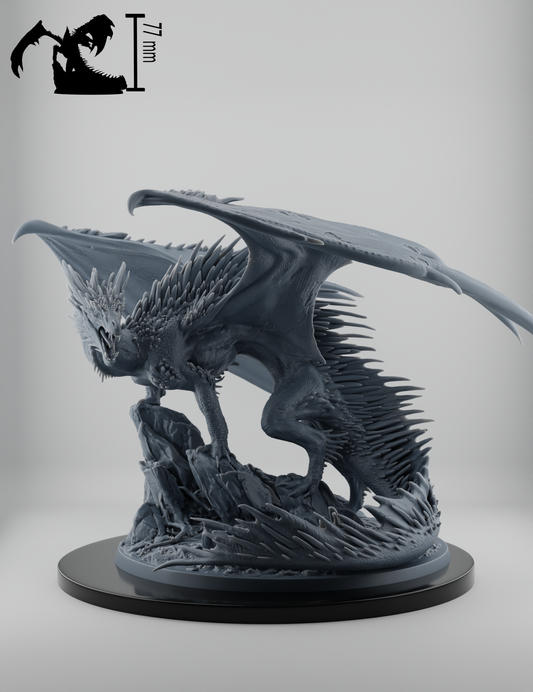 Dragon Topaze Adulte