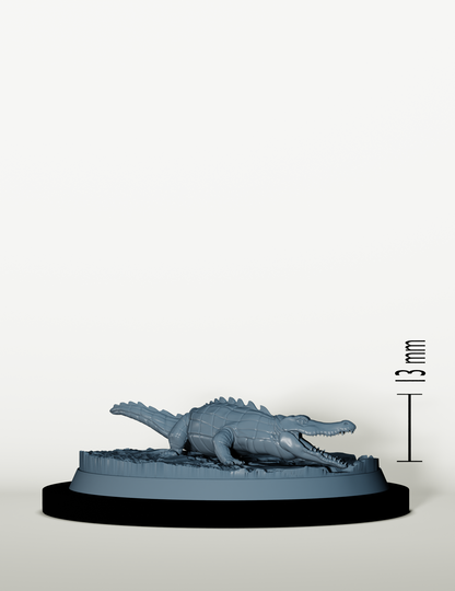 Dresseurs de Crocodiles